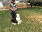 Bağcılar Köpek Eğitim Çiftliği İstanbul
