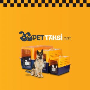 İstanbul Pet Taksi Hizmeti